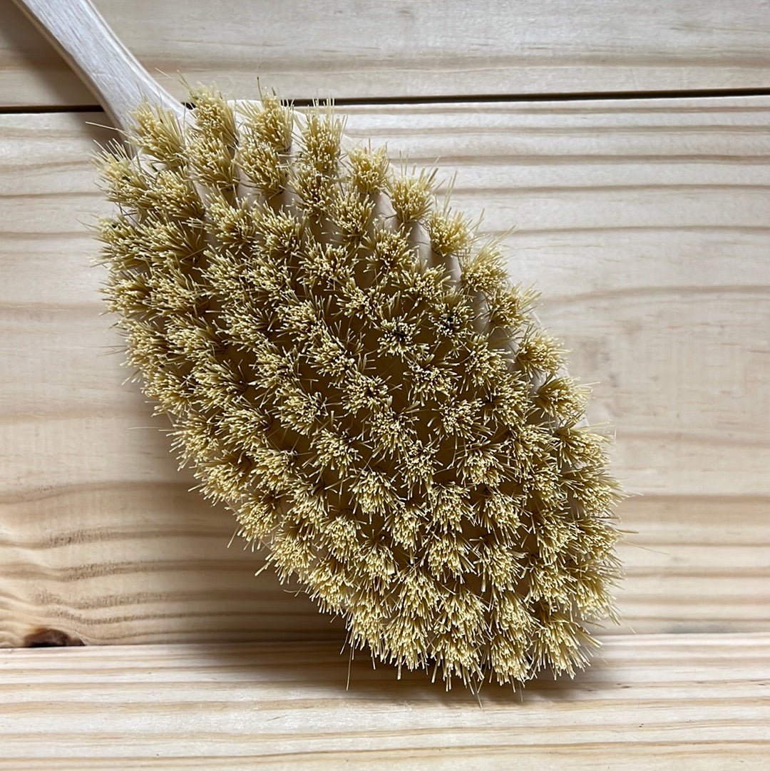 Tampico Skin Brush Detox & Beauty Brush - One Life Natural Market NC