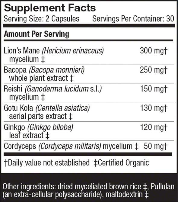 MycoBotanicals® Brain Support Capsules - One Life Natural Market NC