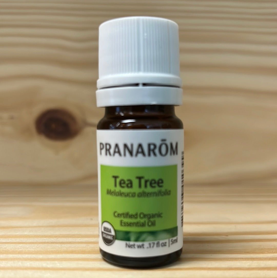 USDA Organic 100% Tea Tree Leaf Essential Oil - One Life Natural Market NC